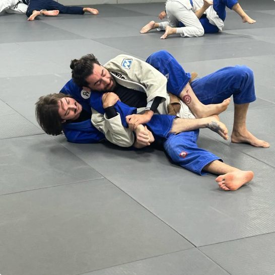Brazilian Jiu-Jitsu 2